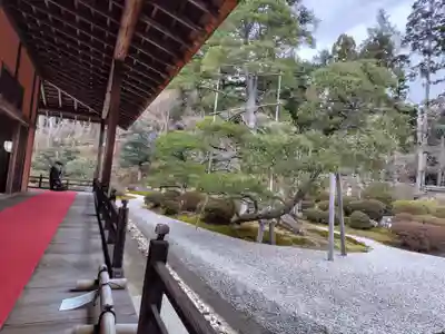 曼殊院門跡(京都府)