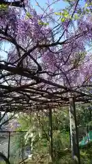 賀茂別雷神社の庭園