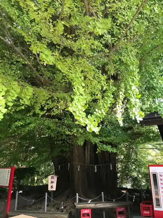 宝珠山 立石寺の自然