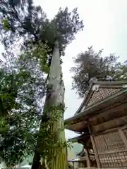 須我神社(島根県)