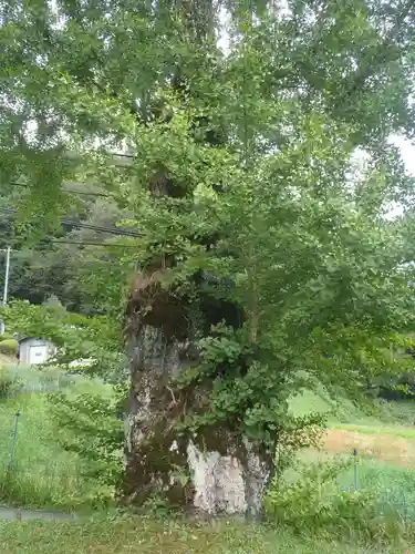 教聖寺(愛知県)