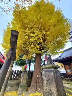 晴門田神社(福島県)