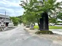 諸木神社(滋賀県)