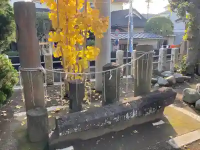 八王子神社(神奈川県)