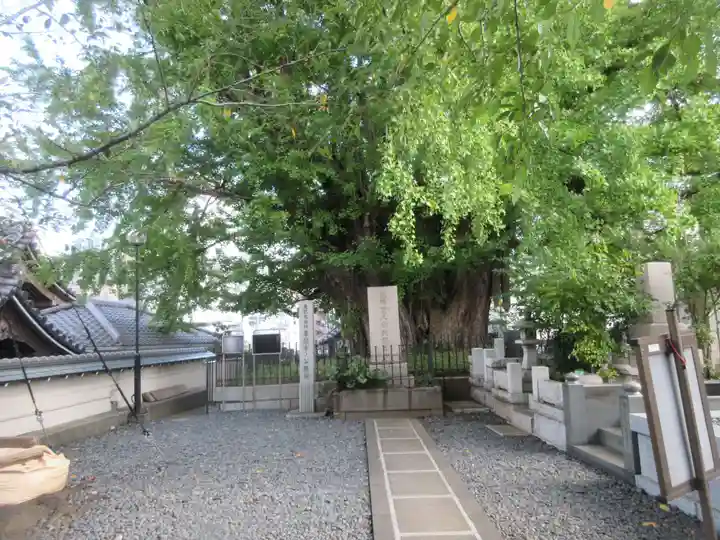 善福寺(東京都)