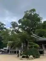 青岸渡寺(和歌山県)