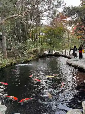 伊勢神宮内宮（皇大神宮）(三重県)