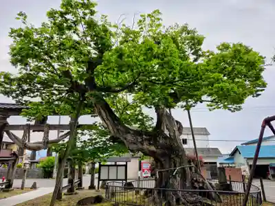 新宮熊野神社(福島県)