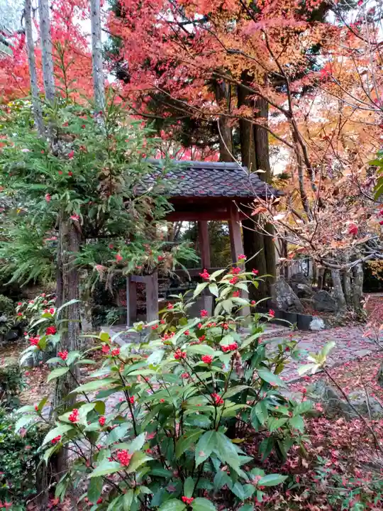 安楽寺(京都府)