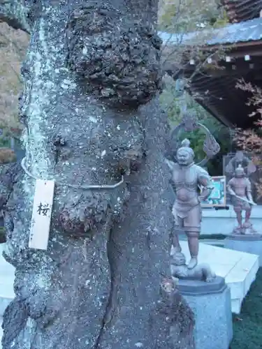 長谷寺(神奈川県)