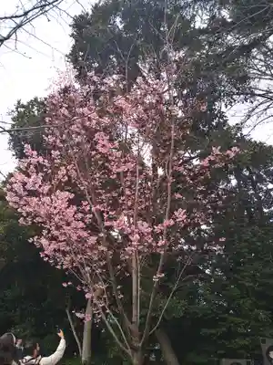 靖國神社(東京都)
