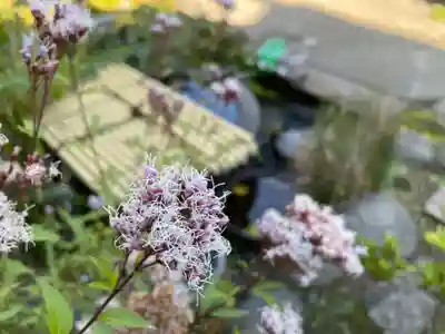 定泉寺(神奈川県)