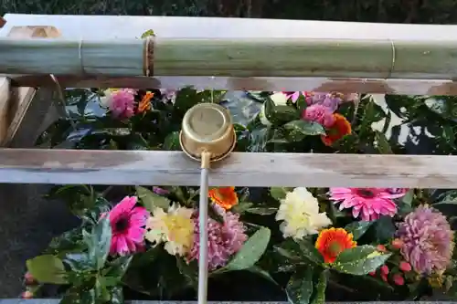 豊景神社の手水