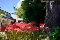 磐井神社(東京都)