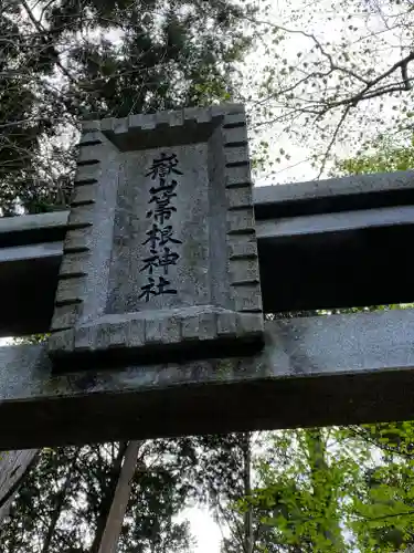 嶽山箒根神社奥の院の鳥居