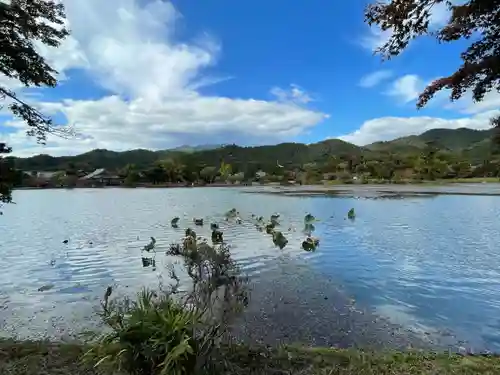 大覚寺の景色