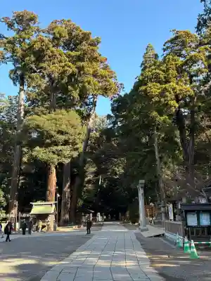 鹿島神宮(茨城県)