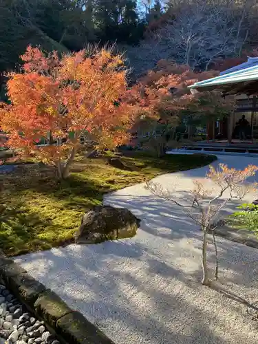 長壽寺（長寿寺）の庭園