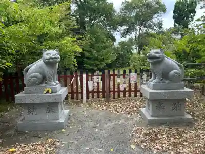 大江神社の狛犬