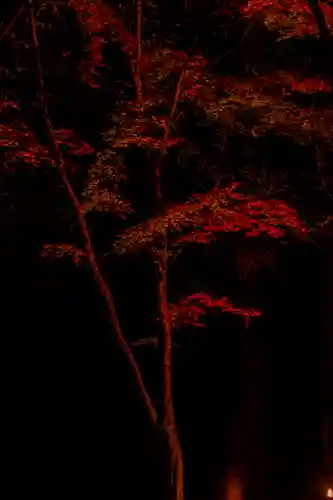 北野天満宮(京都府)