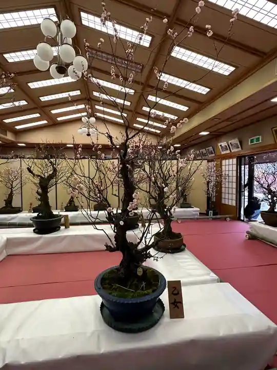 菅原天満宮(菅原神社)(奈良県)