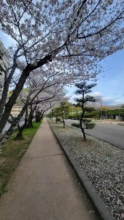 愛媛縣護國神社(愛媛県)