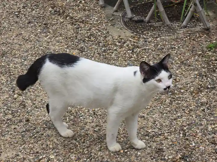 浄瑠璃寺(京都府)
