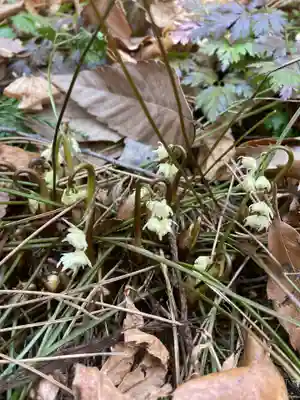 十二山神社(群馬県)