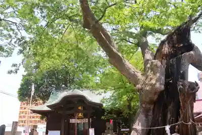 阿邪訶根神社の本殿・本堂