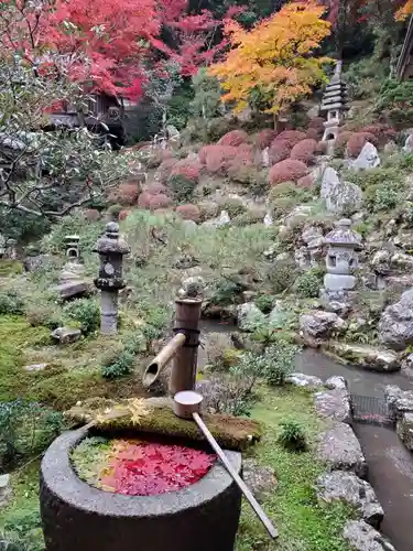 柳谷観音　楊谷寺の庭園