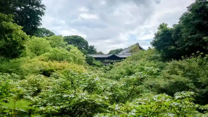 東福禅寺(東福寺)(京都府)