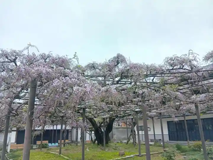 竹鼻別院(岐阜県)