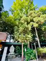 土津神社|こどもと出世の神さま(福島県)