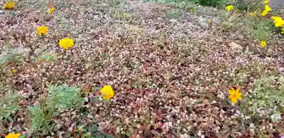 武蔵御嶽神社・出羽三山神社・道祖神(東京都)