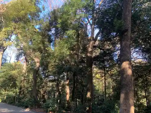 明治神宮(東京都)