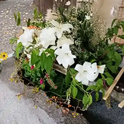 彌彦神社　(伊夜日子神社)の手水舎