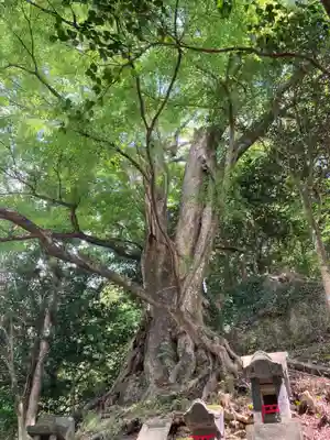 白瀧神社(群馬県)