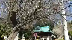 酒門神社(茨城県)