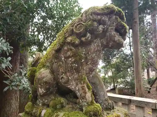 栴壇野神社の狛犬