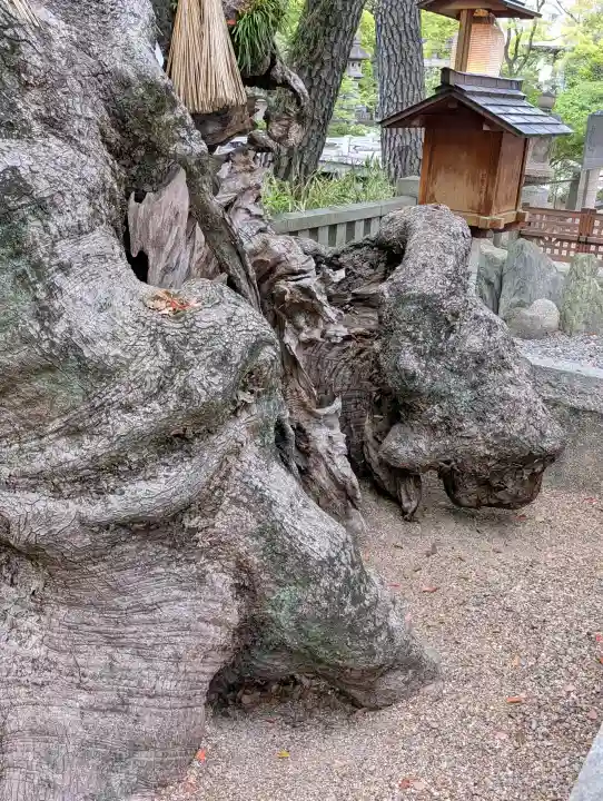 住吉大社の{uncategorized: "未分類", other: "その他", undefined: "問題あり", building: "その他建物", grave: "お墓", sacred_gate: "鳥居", guardian: "狛犬", statue: "像", buddha: "仏像", history: "歴史", nature: "自然", garden: "庭園", animal: "動物", pagoda: "塔", temizu: "手水舎", mountain_gate: "山門・神門", sanctuary: "本殿・本堂", subordinate: "末社・摂社", art: "芸術", scenery: "景色", jizo: "地蔵", ema: "絵馬", goshuin: "御朱印", omikuji: "おみくじ", items: "授与品その他", amulet: "お守り", goshuincho: "御朱印帳", eats: "食事", festival: "お祭り", votive_dance: "神楽", shichigosan: "七五三参", wedding: "結婚式", experience: "体験その他", initially: "初詣", around: "周辺", anti_infection: "感染症対策"}