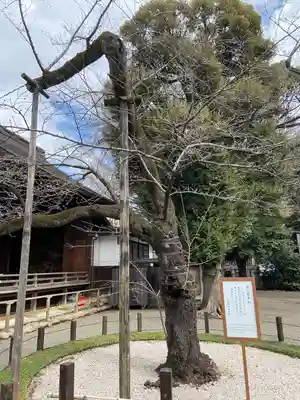 靖國神社(東京都)