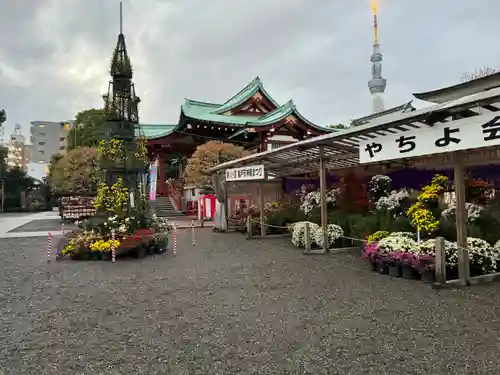 亀戸天神社(東京都)