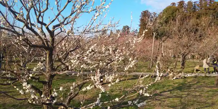 常磐神社の周辺