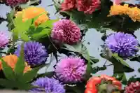 豊景神社の手水舎