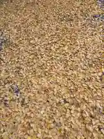 成岩神社(愛知県)