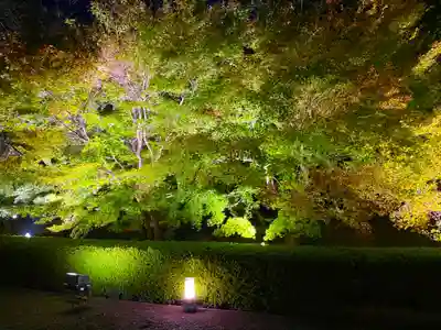 東寺（教王護国寺）(京都府)