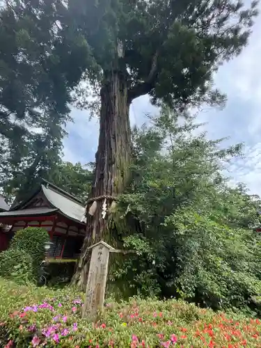 香取神宮(千葉県)