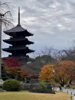 東寺（教王護国寺）(京都府)