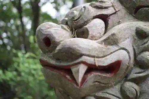 堀口天満天神社の狛犬