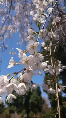 下野國一社八幡宮(栃木県)